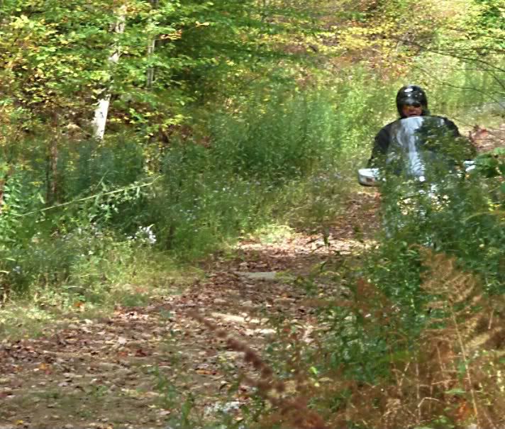Burgmanrockystream.jpg
