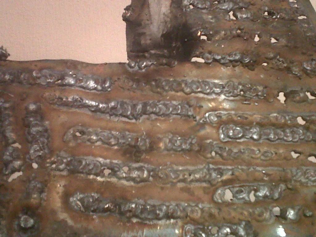 IMG00669-20100810-2126.jpg