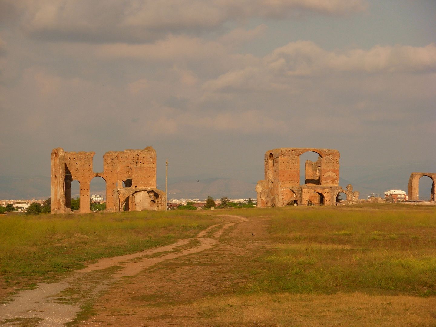 DSCN1204-1.jpg