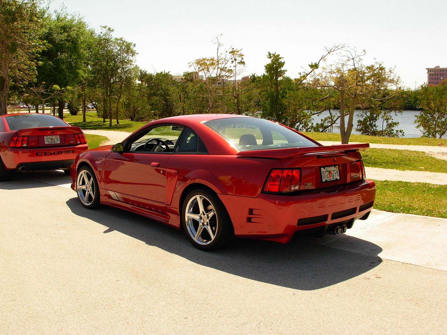 SaleenS281rear.jpg