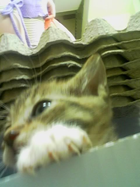 Photobucket - Video and Image Hosting