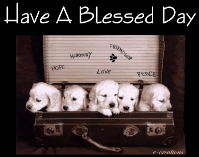 Have A Blessed Day Puppies
