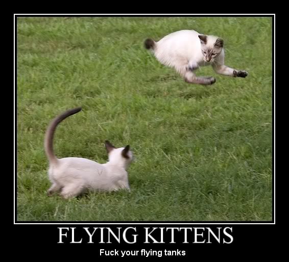 flyingkittens.jpg