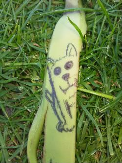 bananadog