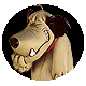 mutley-ani1.gif picture by doutt