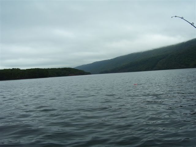 raystouwnlake2ndyear002.jpg picture by doutt