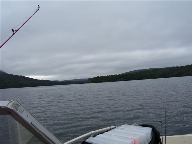 raystouwnlake2ndyear003.jpg picture by doutt