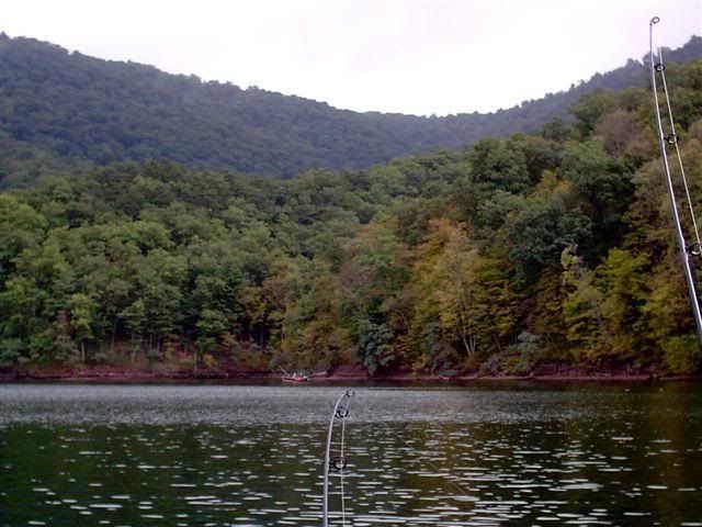 raystouwnlake2ndyear031.jpg picture by doutt
