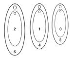 swingripplechart.jpg picture by doutt