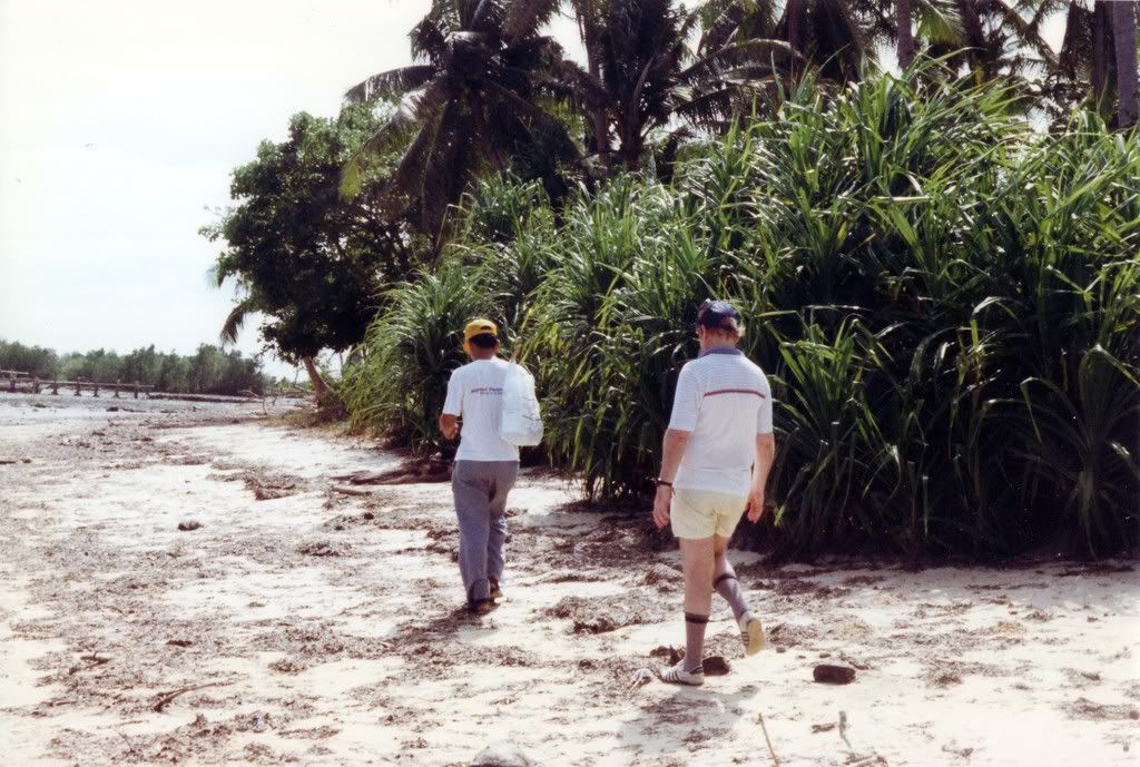 Beach walk