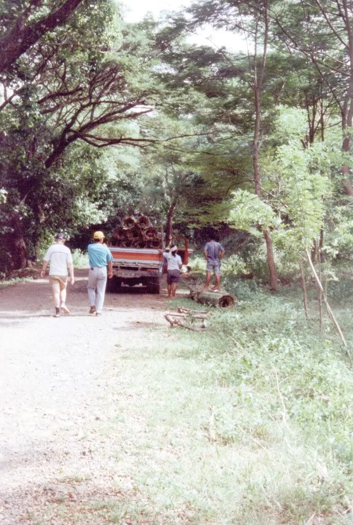 Woodland walk Paluan Bob and Armando