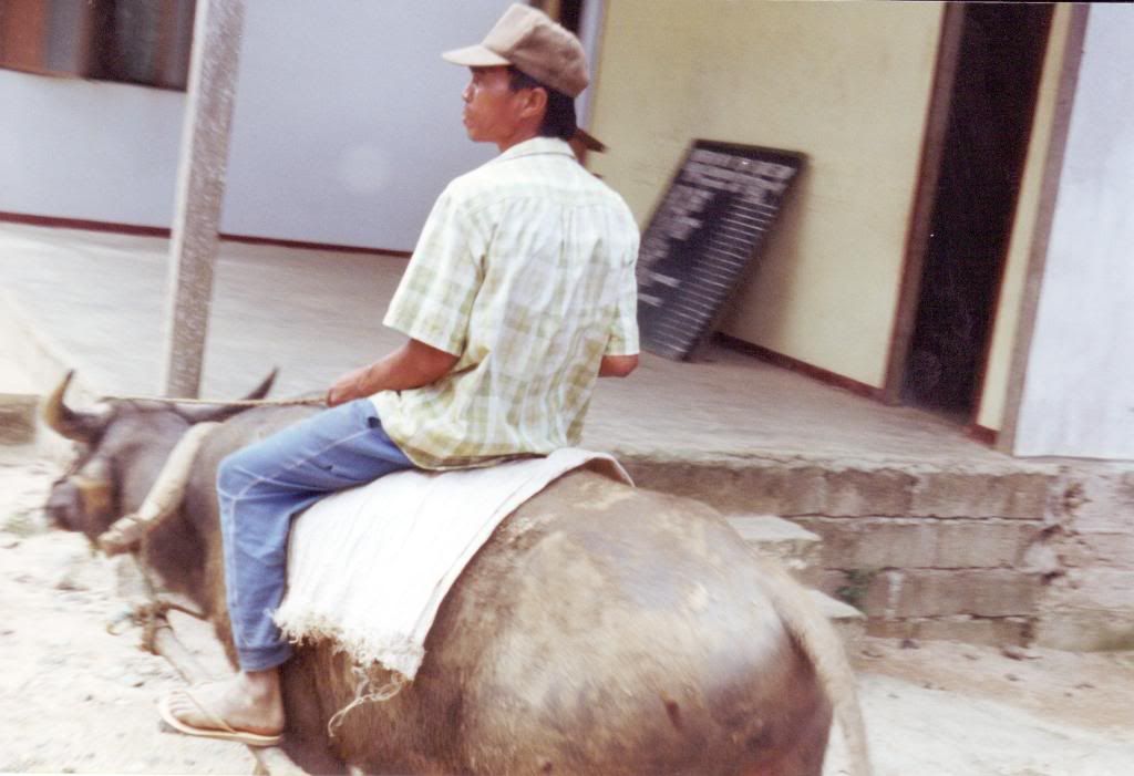 Local Transport - St John's Paluan