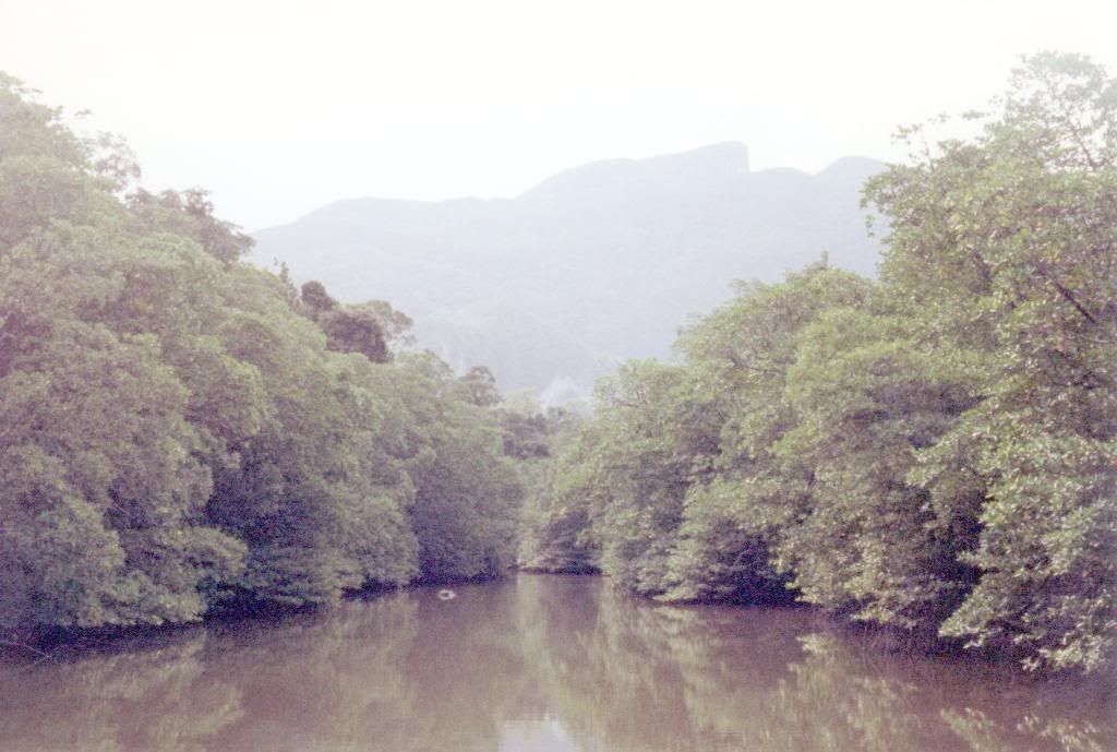 River - Paluan