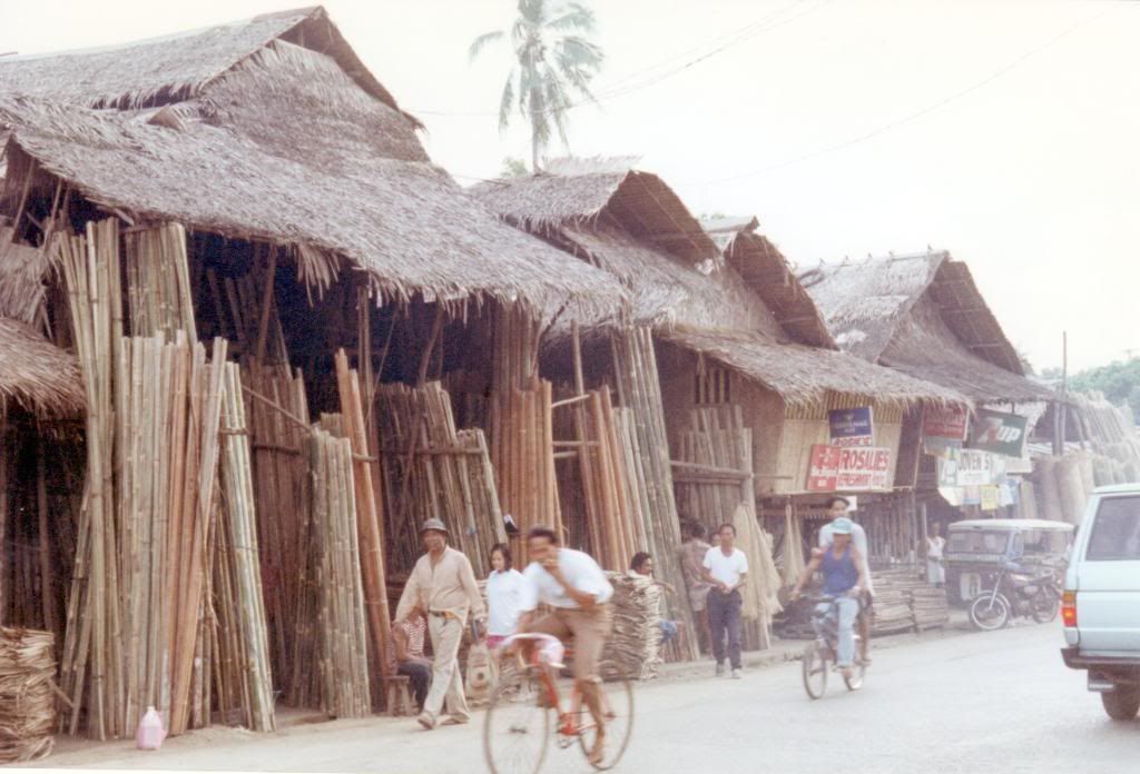 Timber Store - Paluan