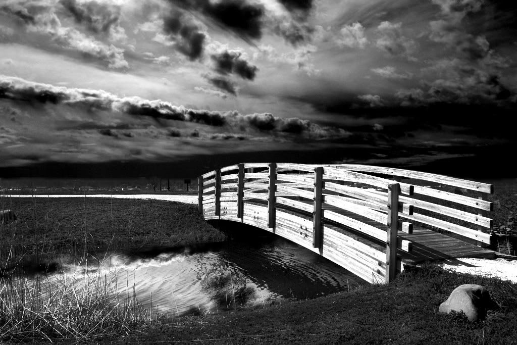 IMAGE: http://i106.photobucket.com/albums/m273/nanette37/4585484446_d102799caa_b.jpg