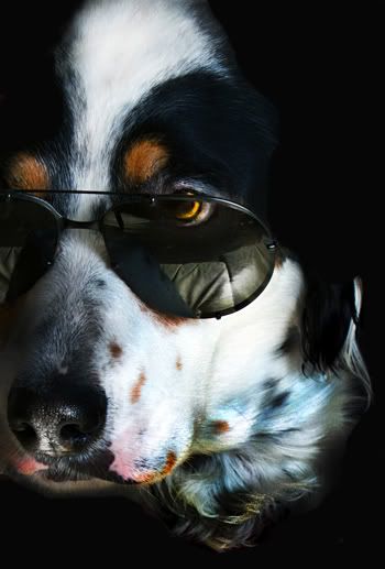 IMAGE: http://i106.photobucket.com/albums/m273/nanette37/img1644tt2-1.jpg