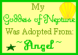 Green Neptune, adoption certificate from Angel
