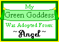 Green Goddess, adoption certificate from Angel