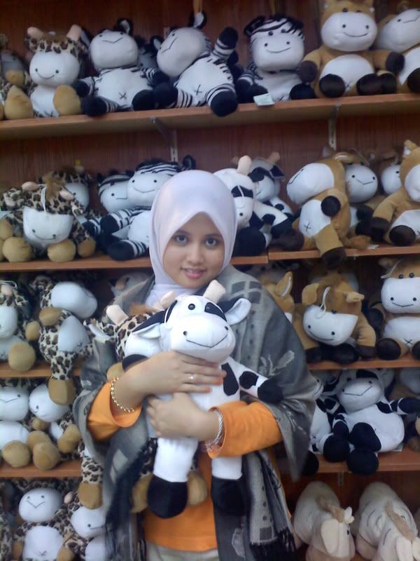 zebra bsh