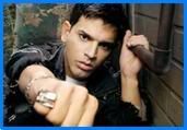 Tito El Bambino Pictures, Images and Photos