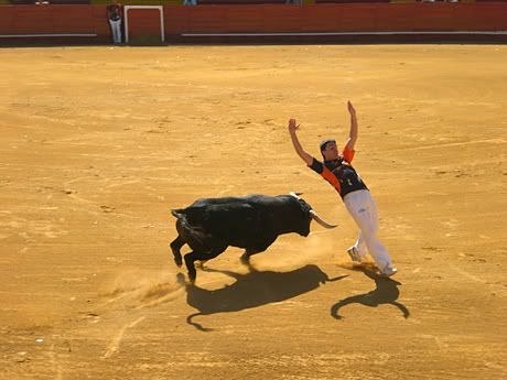 bull-dodging-valencia