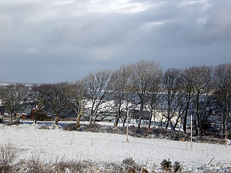 Ireland Snow