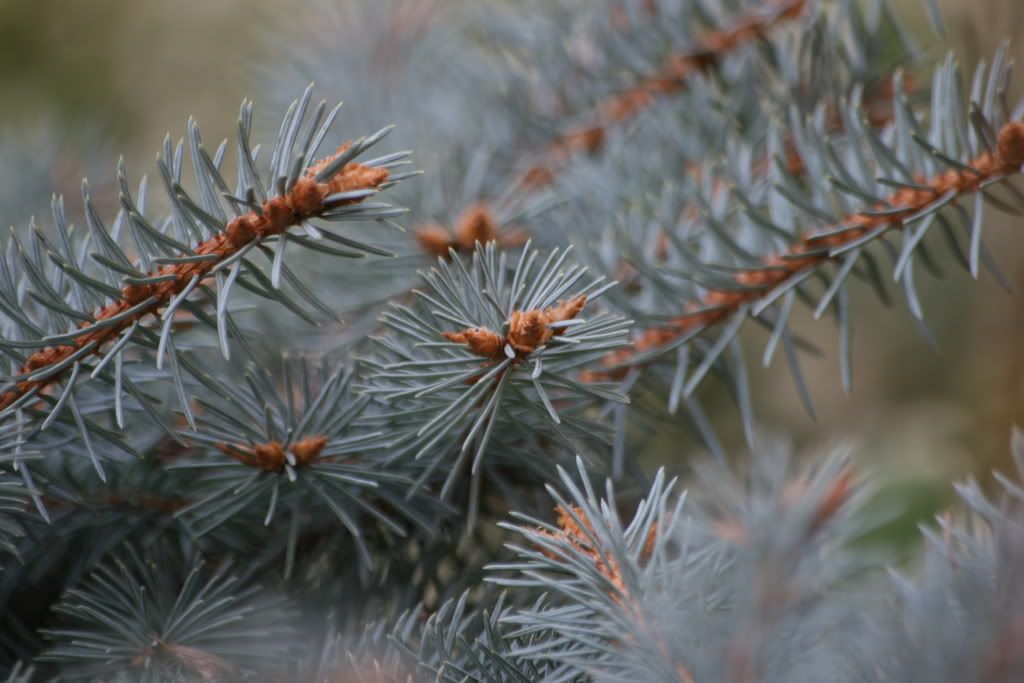 IMAGE: http://i106.photobucket.com/albums/m276/JaGWiREE/IMG_0643.jpg