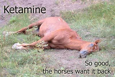 [img width=400 height=268]http://i106.photobucket.com/albums/m277/lay-dee-j/ketamine.jpg[/img]