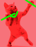 0ac70e3d668cb1b8d742171eb996613d.gif