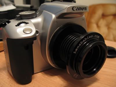 Lensbaby 2.0 on Canon EOS Rebel XTi