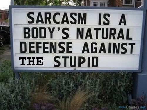 sarcasimStupid.jpg