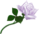 PurpleWhiteRose.gif