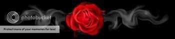 Red rose border photo: RED ROSE - SMOKE BORDER flower7-1.jpg