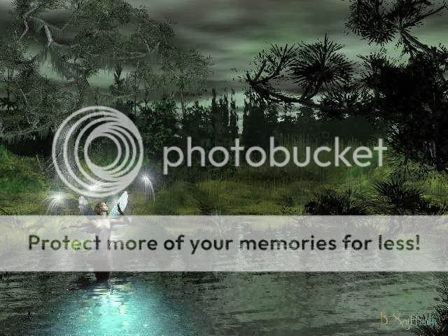 Photo Sharing and Video Hosting at Photobucket