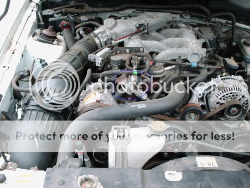 2000 Ford mustang fuel injectors