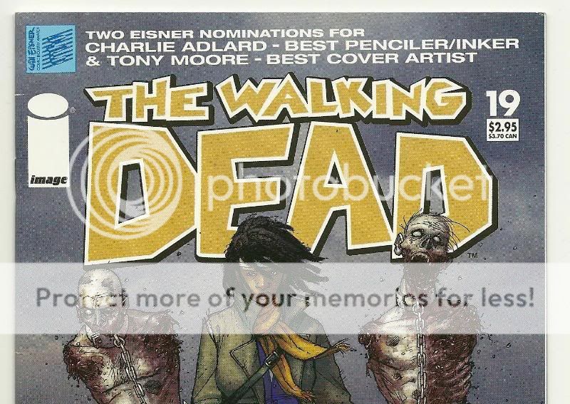 Walking Dead #19 1st Michonne Image MANY BIG SCANS INCLUDED  